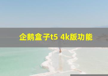 企鹅盒子t5 4k版功能